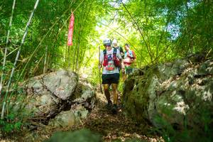 BIB: 
                            <button type="button" onclick="openModal(22088878)" class="btn btn-primary btn-sm float-right btn-popup" data-toggle="modal" data-target=".modal-high-quality">
                        <i class="fas fa-shopping-cart"></i> Add to Cart
                    </button>
                                            <button type="button" onclick="isThisMe(22088878, true)" class="btn btn-success btn-sm float-right btn-popup btn-isme hidden" data-toggle="tooltip" data-placement="bottom" title="นี่คือรูปของคุณใช่ไหม คลิกที่นี่เพื่อเอาเข้าอัลบั้ม">
                        <i class="fas fa-plus"></i> Add to album
                    </button>
                    <button type="button" onclick="isThisMe(22088878, false)" class="btn btn-warning btn-sm float-right btn-popup btn-isnotme hidden">
                        <i class="fas fa-ban"></i> Remove from album
                    </button>